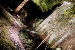 ziggi-landscaping-14