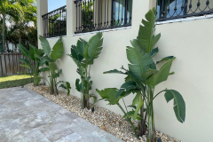 ziggi-landscaping-29