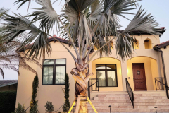 ziggi-landscaping-31