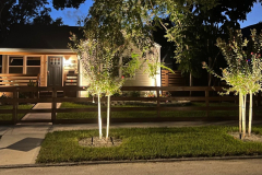 ziggi-landscaping-48