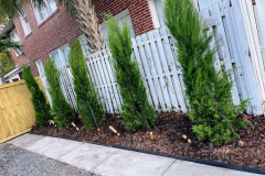 ziggi-landscaping-49