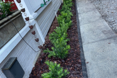 ziggi-landscaping-51