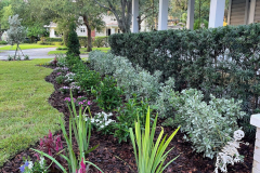 ziggi-landscaping-52