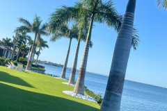 ziggi-landscaping-55