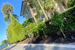 ziggi-landscaping-58