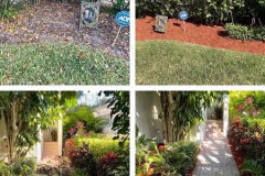ziggi-landscaping-60