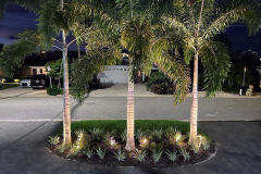 ziggi-landscaping-63