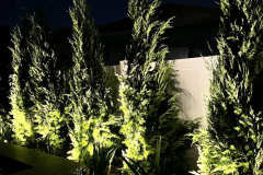 ziggi-landscaping-73