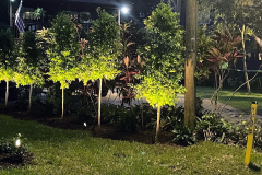 ziggi-landscaping-75