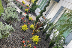 ziggi-landscaping-81