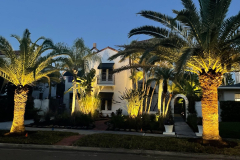 ziggi-landscaping-95