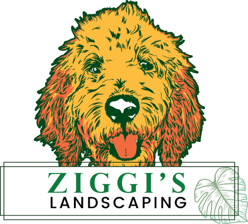 Ziggi's Landscaping